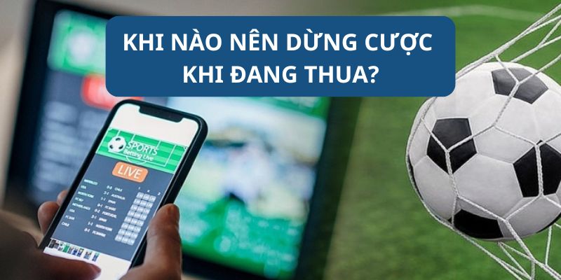 Nếu không biết cách dừng cược người chơi có thể thua trắng tay