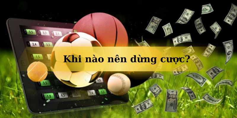 Khi nào nên dừng cược