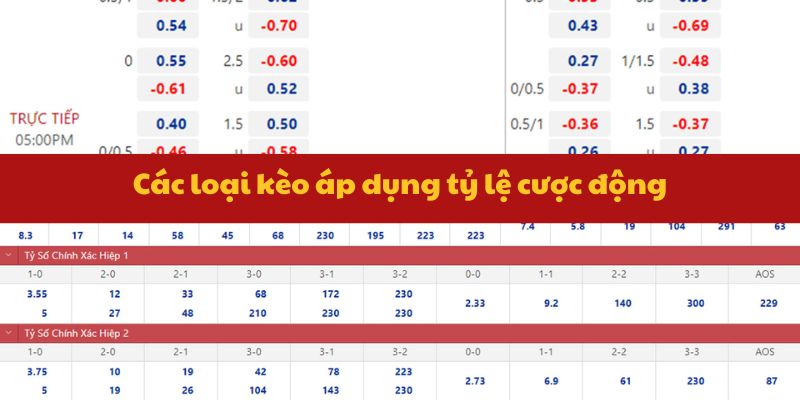 Tỷ lệ cược động cho người chơi lựa chọn nhiều hình thức cược